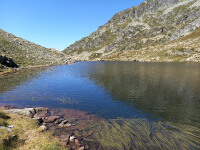 Le lac avec ses algues étranges